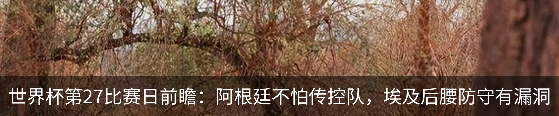 最新动态